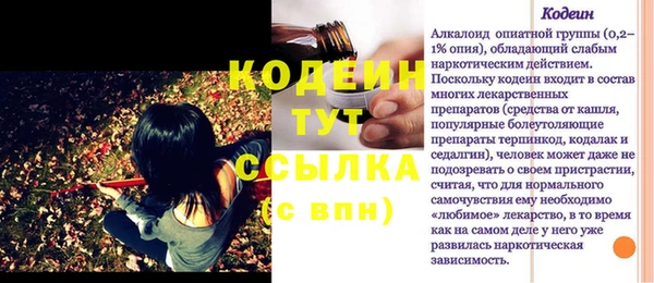 гашик Сатка