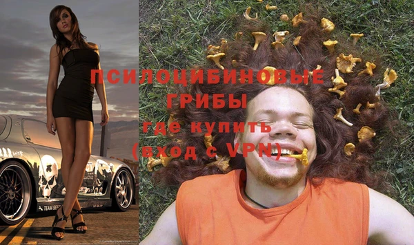 хмурый Вязьма