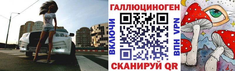 дарнет шоп  Щёлкино  Галлюциногенные грибы Cubensis 